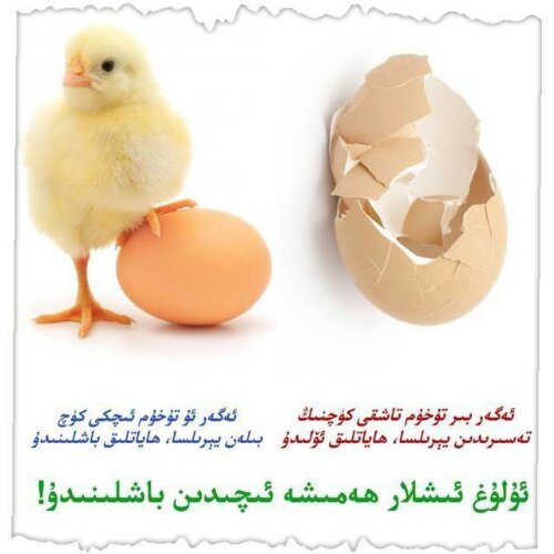 mmexport1365918781562.jpg image